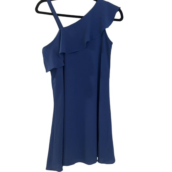 Sally Miller Other - Girl's Sally Miller Couture‎ One Shoulder Ruffle Dress Size 14/16